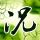 郑板桥